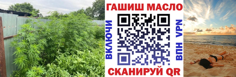 Дистиллят ТГК концентрат  купить   Мариинский Посад 